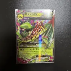 MジュカインEX RR XY7 バンデットリング 008/081