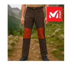 Item thumbnail for item dbe90be7-3a52-4894-9f96-488e14f58803