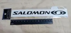 サロモン SALOMON カッティング ステッカー正規品