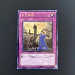 遊戯王　自由解放　ウルトラ