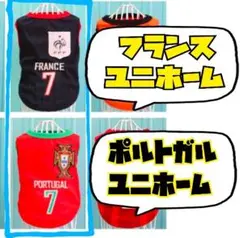 Item thumbnail for item 10a86fff-6912-488a-b9c7-0909548ec336