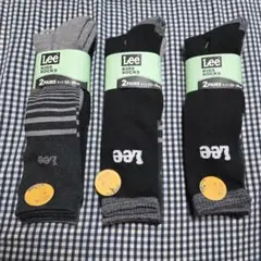Item thumbnail for item b23b4e25-3a49-42cd-8976-4f84b3d14539