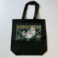 【新品未使用】甲子園球場100周年コラボドカベントートバッグ　水島新司