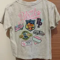 パウパトロール Tシャツ スカイ エベレスト