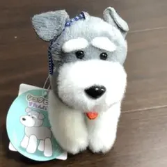 シュナとボブ　すたんだっぷVMC
