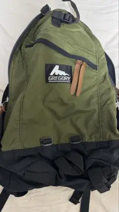 【限定値下げ】グレゴリーデイパックシルバータグ USA製