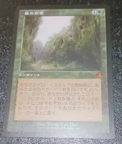 MTG 森の知恵 DMR旧枠