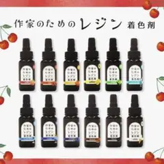 作家のためのレジン 「着色剤 濃縮カラーレジン10g 定番12色」セット