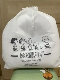 Item thumbnail for item dffea5ca-ffff-492a-b797-b333ae15ec12