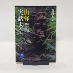 山怪実話大全 岳人奇談傑作選　（ヤマケイ文庫）