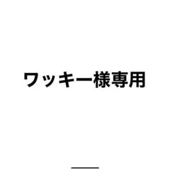 剣道具 活人 面