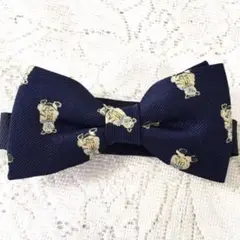 Item thumbnail for item 60ee4823-b410-4d9c-913e-9140295638f5