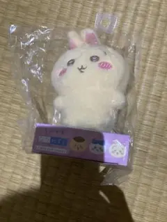 Item thumbnail for item 678fc019-11f8-4122-a91f-344830977bbb