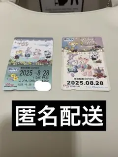 ウィッシングウィングス　リゾラ　リゾートライン　フリーきっぷ　ディズニー