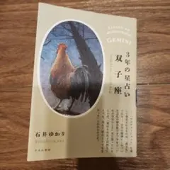 3年の星占い 双子座 2024年―2026年
