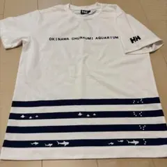 沖縄美ら海水族館 Tシャツ ハリーハンセン
