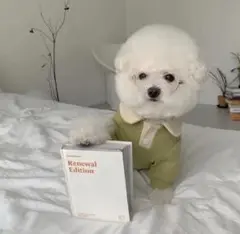 ropet monami 犬服 韓国犬服 Lサイズ