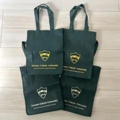 Item thumbnail for item 93cb227c-1fad-4808-a6c4-8184545ef0ae