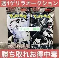 ポケカ　オークション　ポケモンカード　ブラックボルト　ホワイトフレア