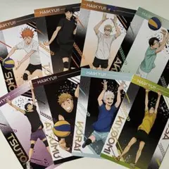 ハイキュー!! ユース・擬似ユース合宿フェア 特典 ポストカード 全8種
