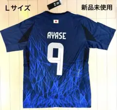 Item thumbnail for item f419f8f2-fa4d-4625-a310-79757e3c3077