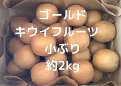 ゴールド☆キウイフルーツ☆小ぶり 無農薬 箱込み約2kg