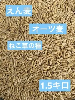 Item thumbnail for item f610656c-aba3-4b17-ab77-f352b0f59811