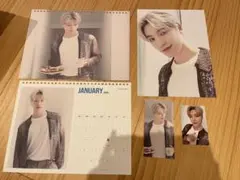 seventeen  シーグリ　ディノ