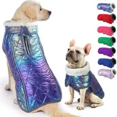 Item thumbnail for item 1a04f199-0945-463e-964e-ed3aff01f2b4