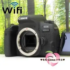 Item thumbnail for item c391bdc1-0376-48cb-b808-a5e84f0ca060