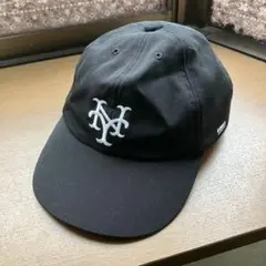 Item thumbnail for item 67366c7a-f71d-45d2-ba7b-a28074ef361b