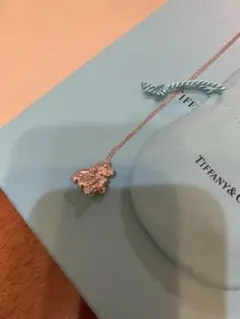 Item thumbnail for item e7926dc8-bb65-48ca-8e51-9056f77cff7a