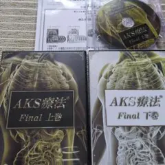 2025年最新】aks療法 finalの人気アイテム - メルカリ