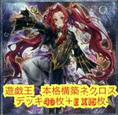 遊戯王　本格構築ネクロスデッキ40枚＋E X15枚