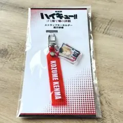 ハイキュー　ゴミ捨て場の決戦　ストラップキーホルダー　孤爪研磨
