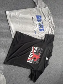 《大勢》読売ジャイアンツ 公式ファンクラブ 会員配布Tシャツ（おまけ付き）