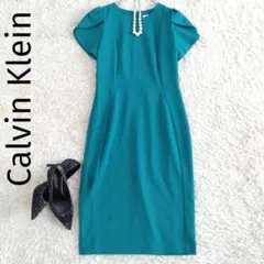 Calvin Klein　ドレープスリーブ金具バックジップドレス　ワンピース