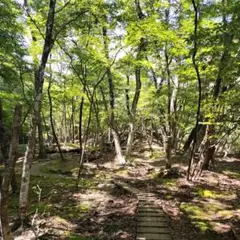 ミモフル様1