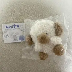 じょせまる ぬいぐるみ らて ガチャ