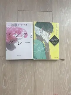 加藤シゲアキ 2冊セット ピンクとグレー/チュベローズで待ってる