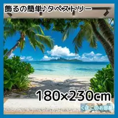【特大】 タペストリー 背景布 ビーチ 南国 リゾート インテリア S55f