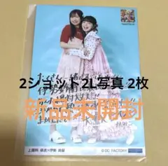 Item thumbnail for item 134eb91a-9de2-4a16-971f-6d5118289d4a