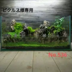 アクアテラリウム ピクルス様専用