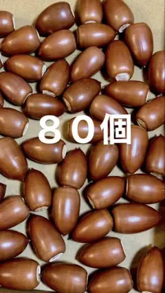 どんぐり ドングリ 木の実 80個