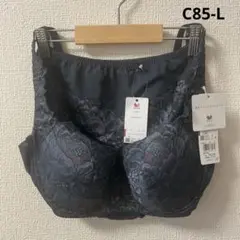 Item thumbnail for item 3d59f9bb-239e-4749-b8b9-90df7955a97b