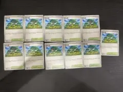 ポケモンカード　活力の森　11枚セット