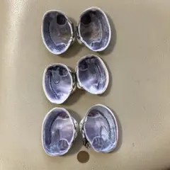 貝殻　大サイズ　オオアサリの対　8-9cm　ペアのセット