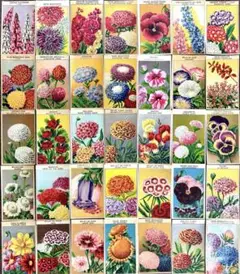 367【現品限り!】35枚!フランス1900s 希少シードパケットラベル