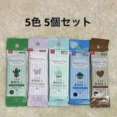 【廃盤】ダイソー＊樹脂粘土30g 5色5個セット