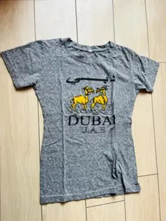 ドバイ アラブ首長国連邦 アラビア語 Tシャツ 万博